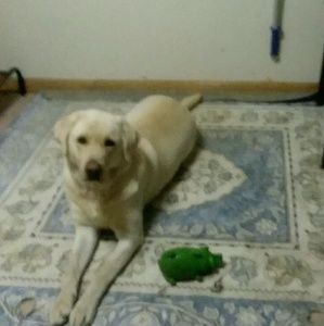 Meet your Posher, Slick